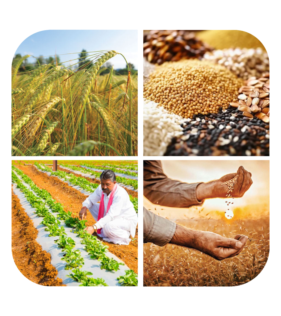 Khadyot Homepage Banner 1