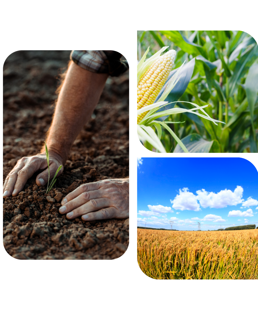 Khadyot Homepage Banner 2